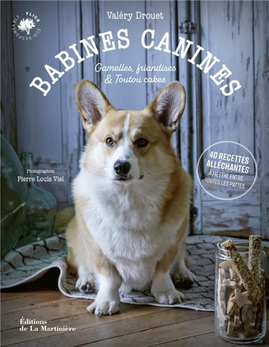 Emprunter BABINES CANINES - PATES, GAMELLES, FRIANDISES ET TOUTOU CAKES livre