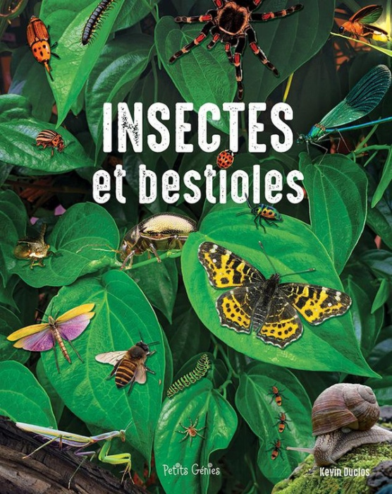 Emprunter Insectes et bestioles livre