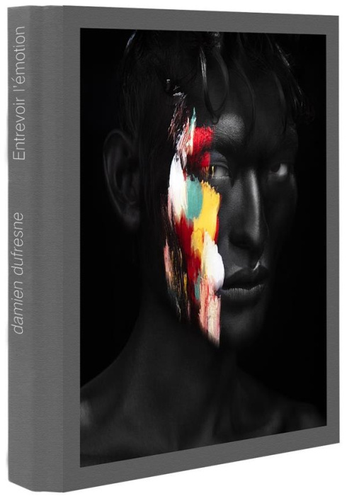 Emprunter Entrevoir l'émotion. Edition bilingue français-chinois livre