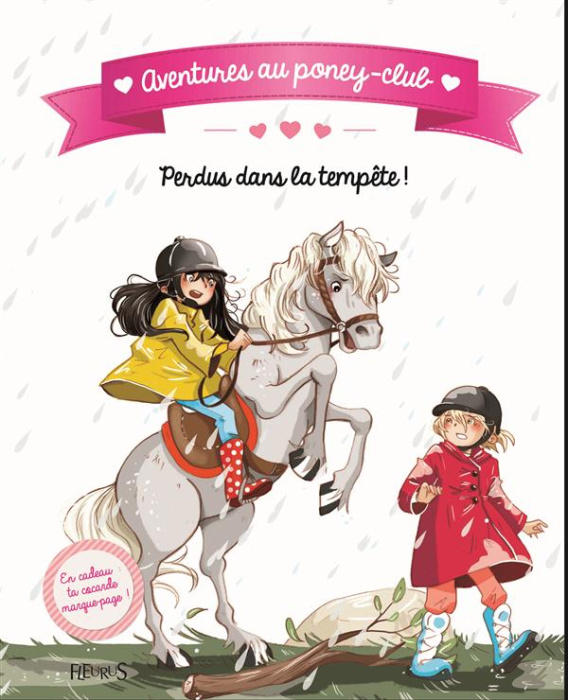 Emprunter Perdus dans la tempête livre