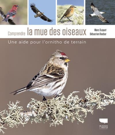 Emprunter Comprendre la mue des oiseaux. Une aide pour l'ornitho de terrain livre