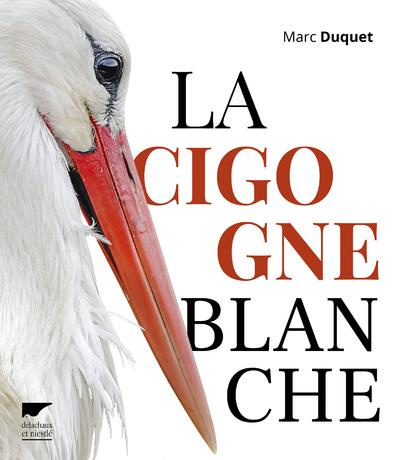Emprunter La cigogne blanche livre