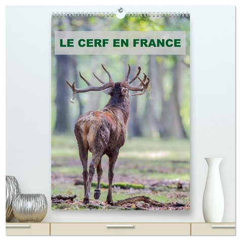 Emprunter LE CERF EN FRANCE (Calendrier mural 2026 DIN A2 horizontal) calendrier de bureau. Photographies de livre