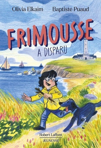Emprunter Frimousse a disparu livre