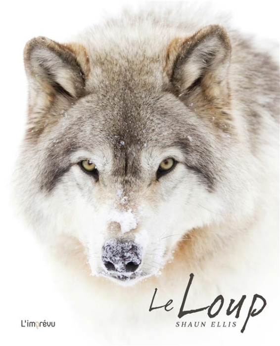 Emprunter Le Loup livre