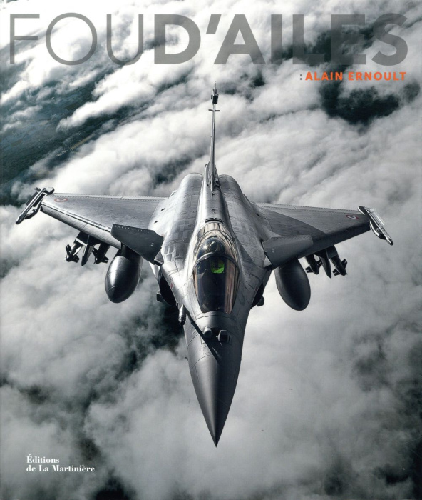 Emprunter Fou d'ailes livre