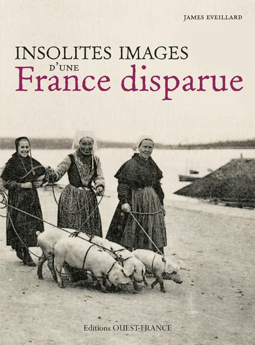 Emprunter Insolites images d'une France disparue livre