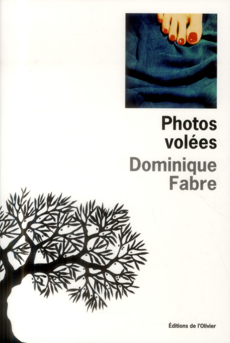 Emprunter Photos volées livre