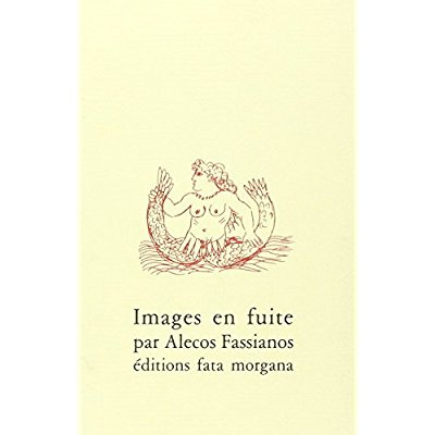 Emprunter Images en fuite livre