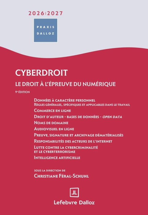 Emprunter Cyberdroit. Le droit à l'épreuve de l'internet, Edition 2024-2025 livre