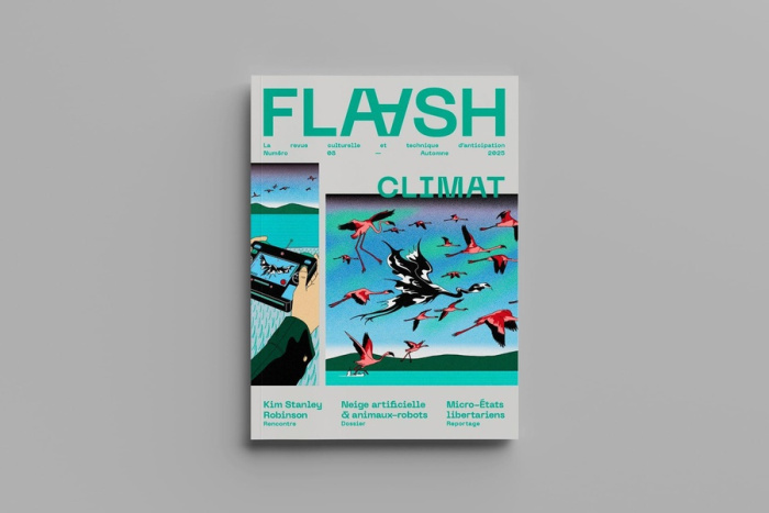 Emprunter Flaash N° 8, automne 2025 : Climat livre