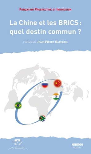 Emprunter LA CHINE ET LES BRICS : QUEL DESTIN COMMUN ? livre
