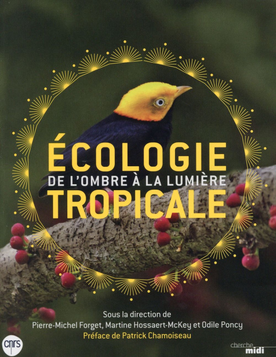 Emprunter Ecologie tropicale. De l'ombre à la lumière livre