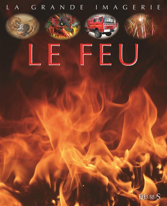 Emprunter Le feu livre