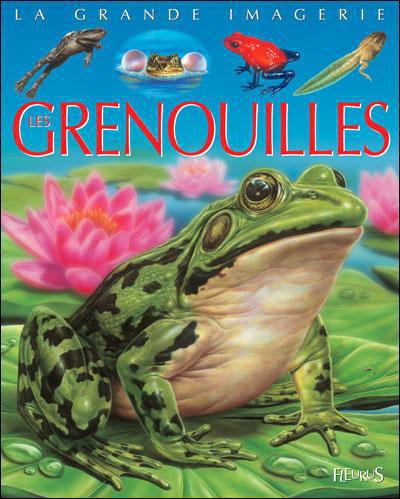 Emprunter Les grenouilles livre