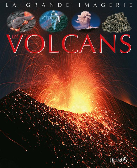Emprunter Les volcans livre