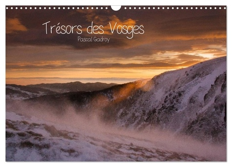 Emprunter Trésors des Vosges (Calendrier mural 2026 DIN A3 vertical), CALVENDO calendrier mensuel. Faune et pa livre