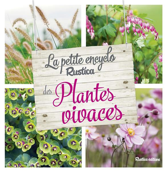 Emprunter La petite encyclo rustica des plantes vivaces livre
