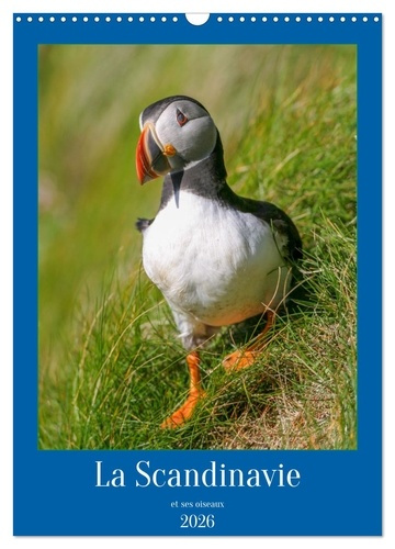 Emprunter La Scandinavie et ses oiseaux (Calendrier mural 2026 DIN A3 horizontal), CALVENDO calendrier mensuel livre