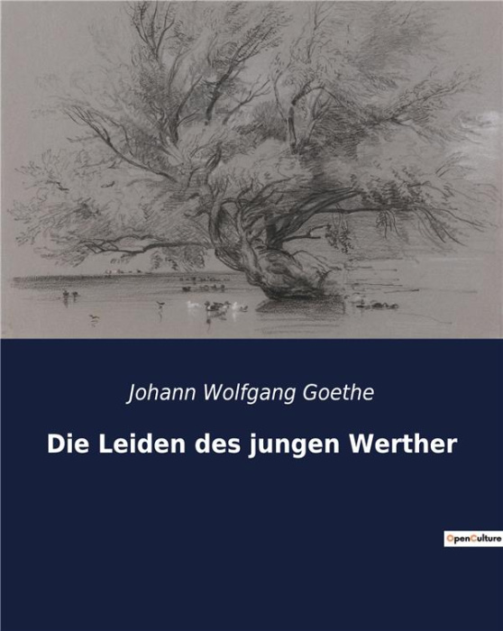 Emprunter DIE LEIDEN DES JUNGEN WERTHER - EINE ERKUNDUNG DER EMOTIONALEN TURBULENZEN UND DES EXISTENZIELLEN KA livre