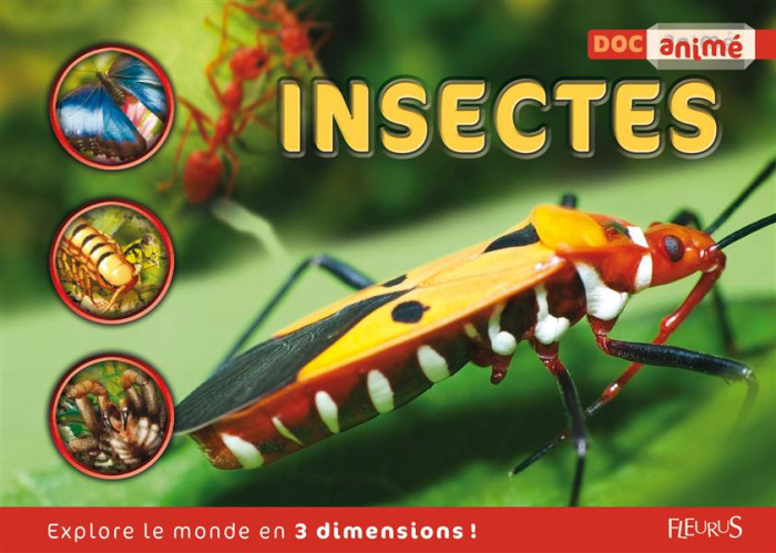 Emprunter Insectes livre