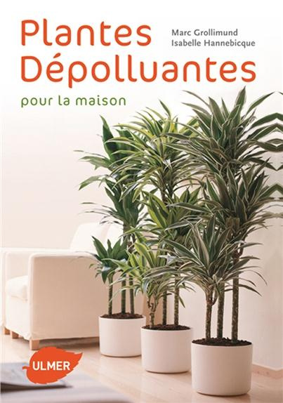 Emprunter Plantes dépolluantes pour la maison livre