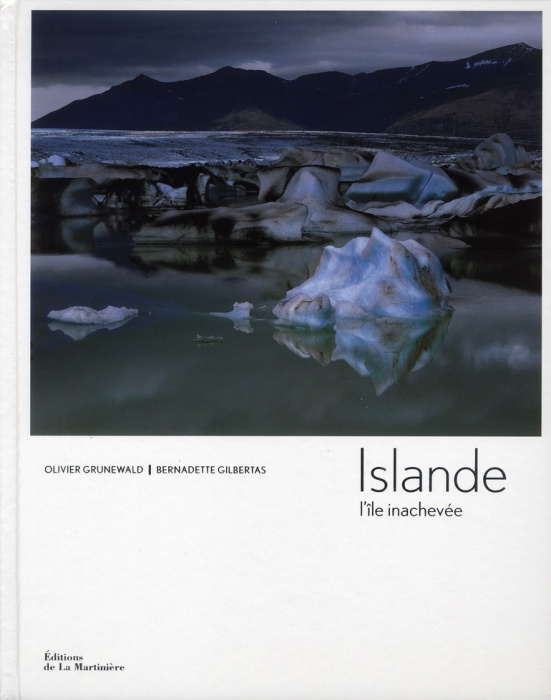 Emprunter Islande. L'île inachevée livre