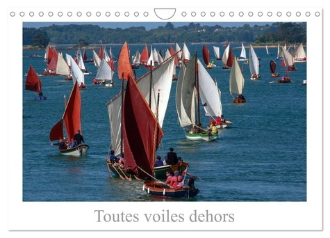 Emprunter Toutes voiles dehors (Calendrier mural 2026 DIN A4 vertical), CALVENDO calendrier mensuel. A tous le livre