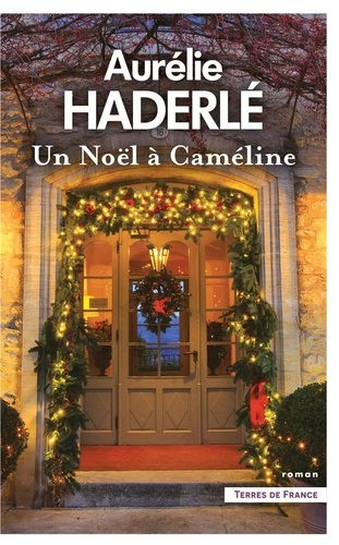 Emprunter Un Noël à Caméline livre