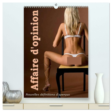 Emprunter Affaire d'opinion. Nouvelles définitions d'aperçus érotiques livre