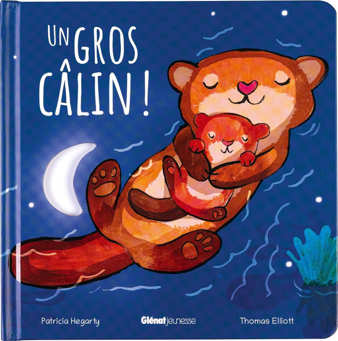 Emprunter Un gros câlin ! livre