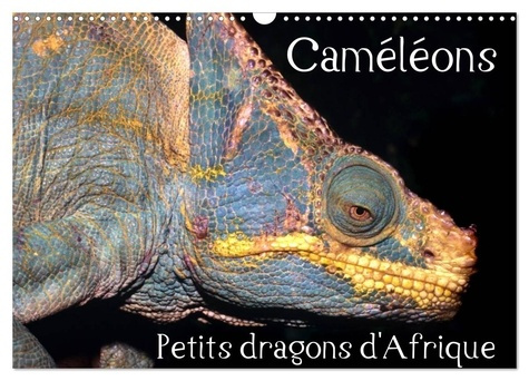 Emprunter Caméléons - Petits dragons d'Afrique. (Calendrier mural 2026 DIN A3 vertical), CALVENDO calendrier m livre