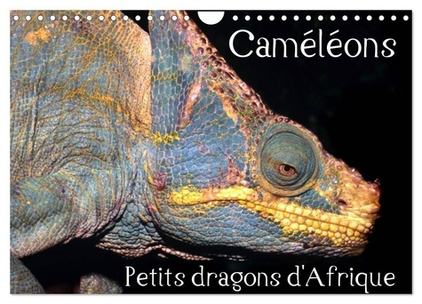 Emprunter Caméléons - Petits dragons d'Afrique. (Calendrier mural 2026 DIN A4 vertical), CALVENDO calendrier m livre