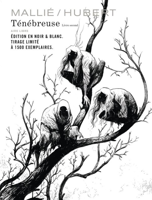 Emprunter Ténébreuse Tome 2 : Tirage limité. Edition spéciale en noir & blanc livre