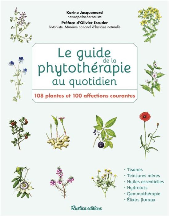 Emprunter Le guide de la phytothérapie au quotidien. 108 plantes et 100 affections courantes livre