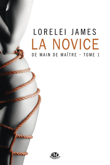 Emprunter De main de maître Tome 1 : La novice livre