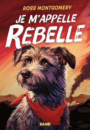 Emprunter Je m'appelle Rebelle livre