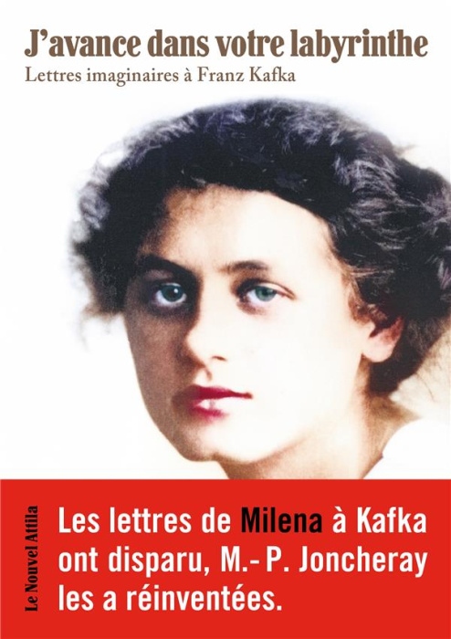Emprunter J'avance dans votre labyrinthe. Lettres imaginaires à Franz Kafka livre