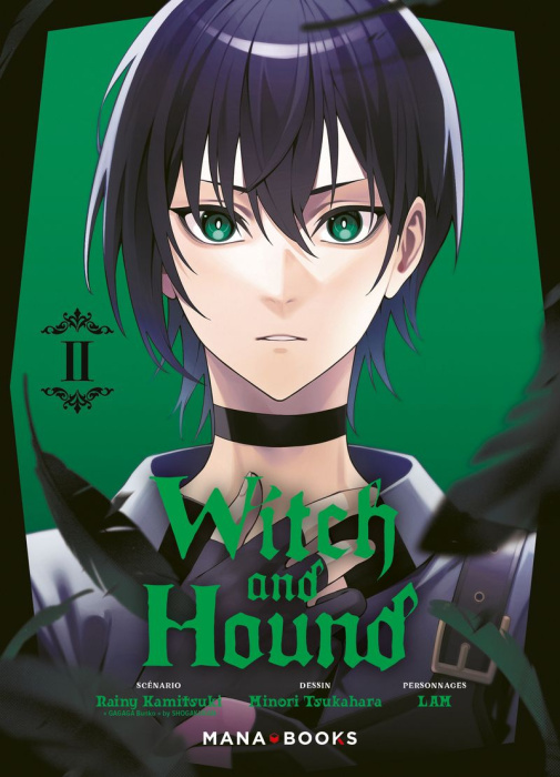 Emprunter Witch and Hound Tome 2 livre
