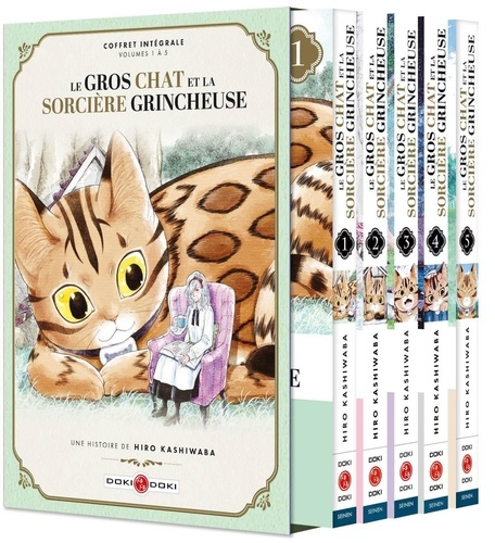 Emprunter Le gros chat et la sorcière grincheuse Tomes 1 à 5 : Coffret en 5 volumes livre