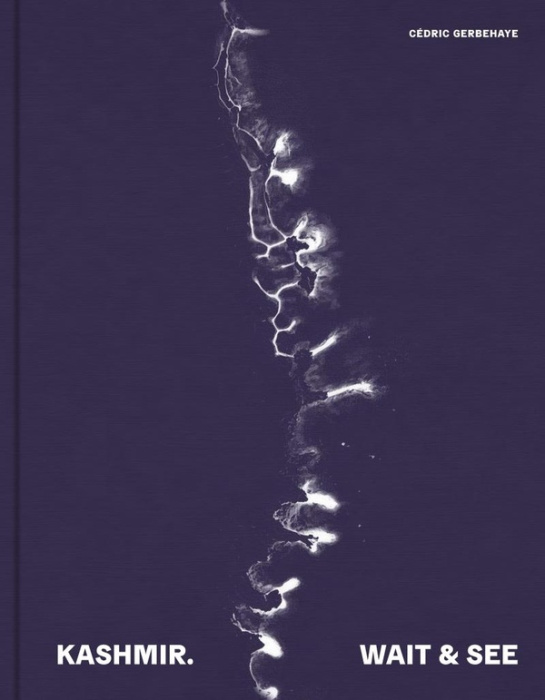 Emprunter Kashmir. Wait and see, Edition bilingue français-anglais livre