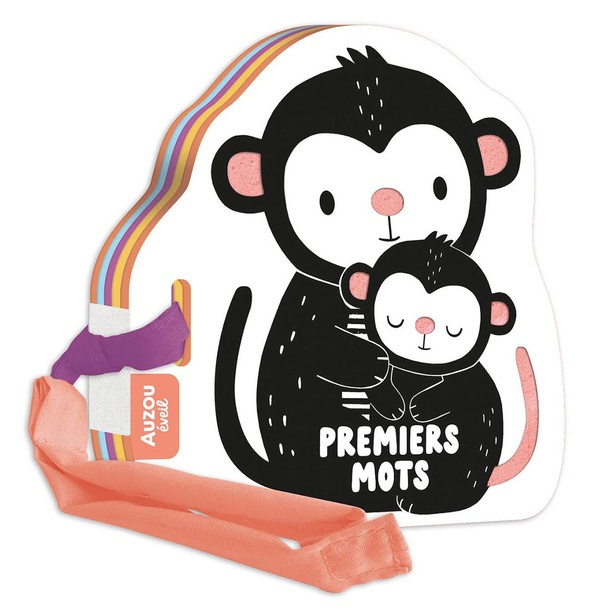 Emprunter Premiers mots livre