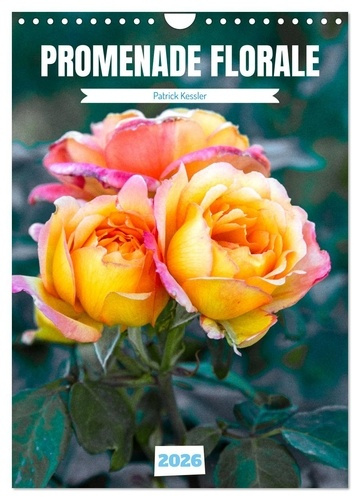 Emprunter Promenade florale (Calendrier mural 2026 DIN A4 horizontal), CALVENDO calendrier mensuel. Mosaïque d livre