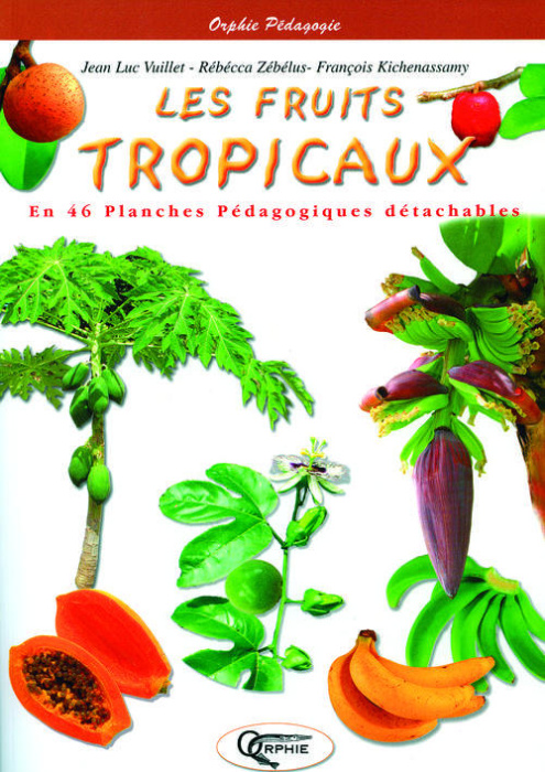 Emprunter Les fruits tropicaux. En 46 planches pédagogiques détachables livre