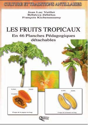 Emprunter Les fruits tropicaux livre