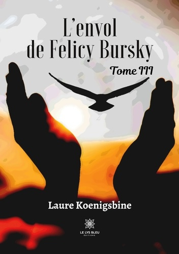 Emprunter L’envol de Felicy Bursky Tome 3 livre
