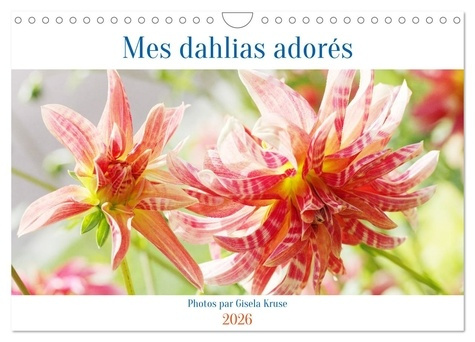 Emprunter Mes dahlias adorés (Calendrier mural 2026 DIN A4 vertical), CALVENDO calendrier mensuel. La reine de livre