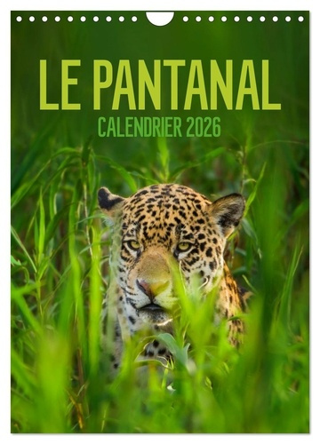 Emprunter Le Pantanal (Calendrier mural 2026 DIN A4 horizontal), CALVENDO calendrier mensuel. Le Pantanal brés livre
