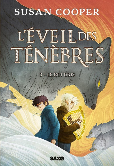 Emprunter L'éveil des ténèbres Tome 3 : Le Roi Gris livre