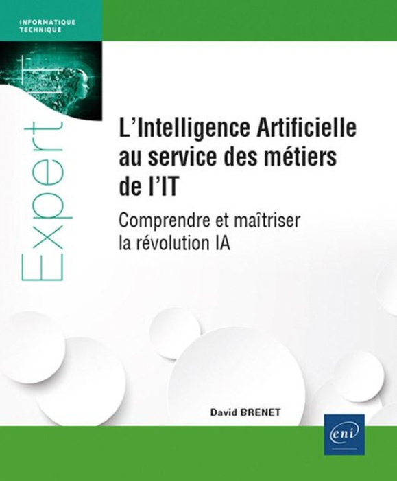 Emprunter L’Intelligence Artificielle au service des métiers de l'IT. Comprendre et maîtriser la révolution IA livre